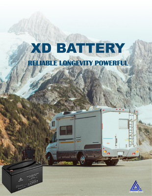 100 ah batteria acida al piombo su ordinazione di 12v Lifepo4 per Ups